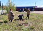 В Кобяйском улусе День эколога отметили субботником