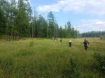 Пенсионерку-ягодницу ищут 14 человек