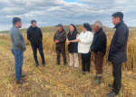 Амгинский улус нацелен выполнить планы по урожаю и кормам